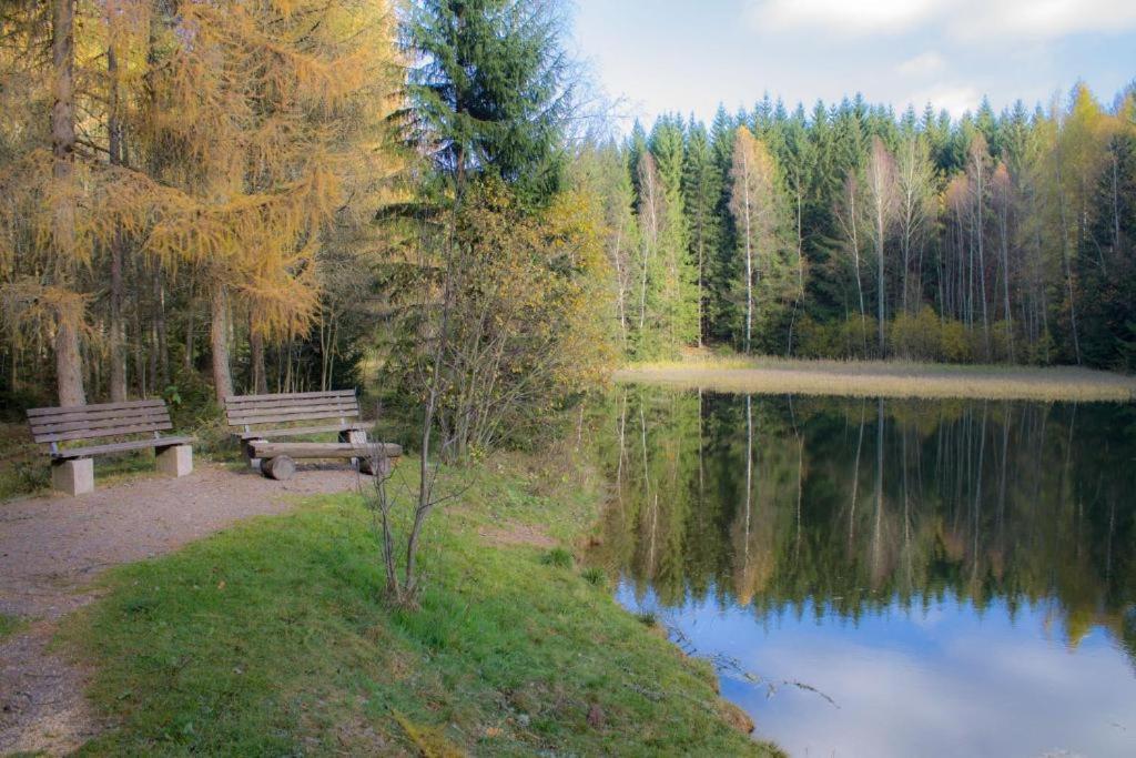 Erzgebirgsidyll Breitenbrunn - Waldhaus Neuer Anbau Экстерьер фото